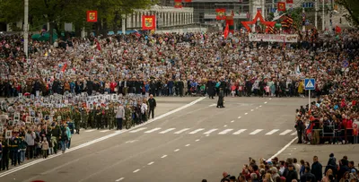 Бессмертный полк» идёт сквозь годы. Белгородские новости