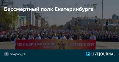 Течёт река \"Бессмертного полка\"»: в Екатеринбурге с портретами героев вышли  более 150 тысяч человек - 9 мая 2018 - e1.ru