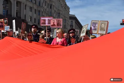 В Москве назвали время начала шествия «Бессмертного полка» в День Победы —  РБК