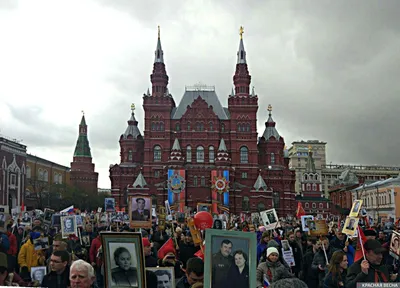 В центрах госуслуг напечатают фото ветерана к акции «Бессмертный полк» |  Москва | Аргументы и Факты