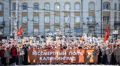 В Калининграде всероссийская акция «Бессмертный полк» в этом году пройдёт  без шествия - НИА-КАЛИНИНГРАД