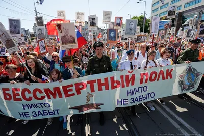 Ради мира на земле: шествие «Бессмертного полка» в Калининграде (фото) -  Новый Калининград.Ru