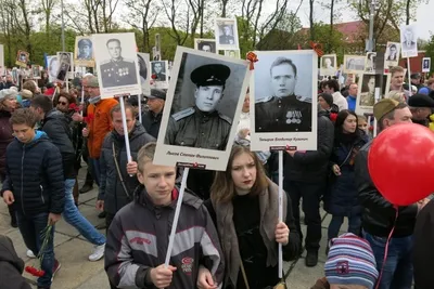 Бессмертный полк» в Калининграде затмил парад Победы