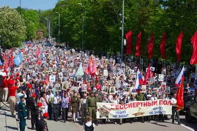 Чтобы не забыли»: тысячи калининградцев приняли участие в акции «Бессмертный  полк»