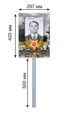 Бессмертный полк в 2023 году пройдет онлайн / Новости / Администрация  городского округа Пущино