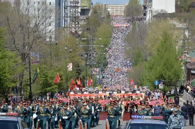 Бессмертный полк 2017 собрал в Хабаровске более 50 тысяч участников - KP.RU