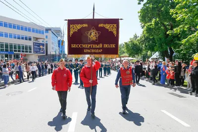 В Новосибирске заканчивается приём заявок на участие в акции «Бессмертный  полк» - Новости Новосибирска - om1.ru