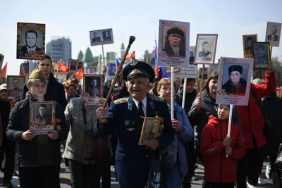 Бессмертный полк» в Новосибирске пройдет в виртуальном формате в 2023 году  | ОБЩЕСТВО | АиФ Новосибирск