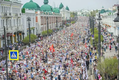 Бессмертный полк» в Омске побил рекорд: 60 тысяч участников! | Новый Омск |  Дзен