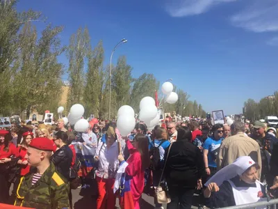 Бессмертный полк | ГБУ ППЦ г.Тольятти