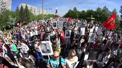 В этом году специальной регистрации для участия в шествии \"Бессмертного  полка\" не требуется | TLT.ru - Новости Тольятти