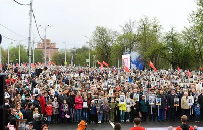 Новости по метке «2022 год»