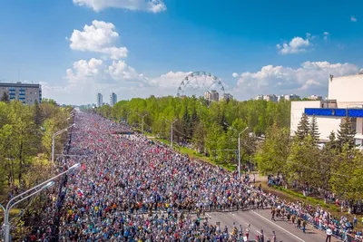 В Башкирии «Бессмертный полк» пройдет в автомобильном формате | ОБЩЕСТВО |  АиФ Уфа