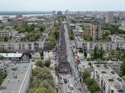 В Волгограде «Бессмертный полк» просит сделать 2 февраля выходным днем