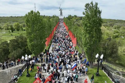 Как прошла акция «Бессмертный полк» в городах России. Фоторепортаж — РБК