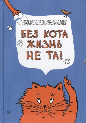 Еженедельник. Без кота жизнь не та! - купить книгу с доставкой в  интернет-магазине «Читай-город». ISBN: 978-5-49-602932-2