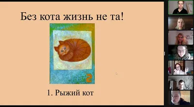 Без кота жизнь не та: истории из жизни, советы, новости, юмор и картинки —  Все посты | Пикабу