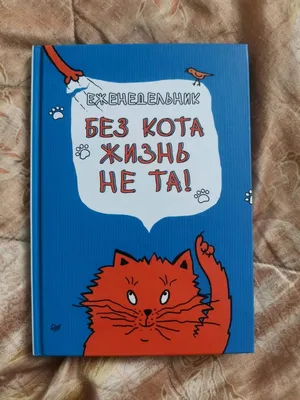 Без кота, жизнь не та…» — создано в Шедевруме