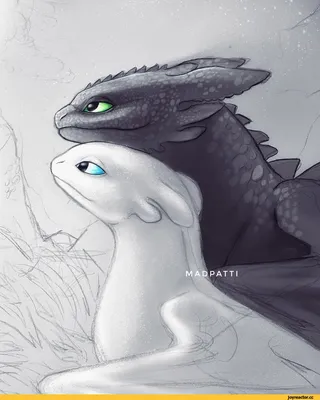 Беззубик и Дневная Фурия / Беззубик (Toothless) :: Дневная Фурия (Light  Fury) :: Как приручить дракона 3 (How to train your dragon 3, HTTYD 3,) ::  Как Приручить Дракона (How to Train