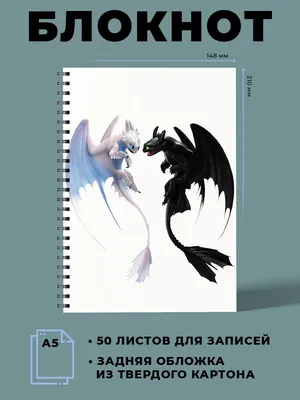 Блокнот А5 Как приручить дракона Дневная фурия и Беззубик - купить с  доставкой по выгодным ценам в интернет-магазине OZON (1020509060)