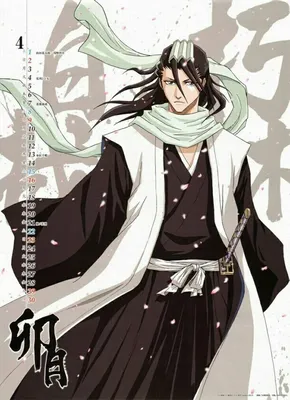 Кучики Бьякуя | Wiki | 🔸Bleach[Rus]🔸 Amino