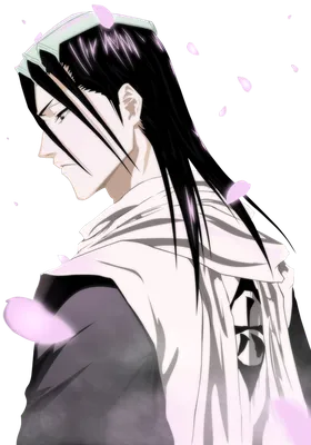 кучики бьякуя kuchiki byakuya - 79417