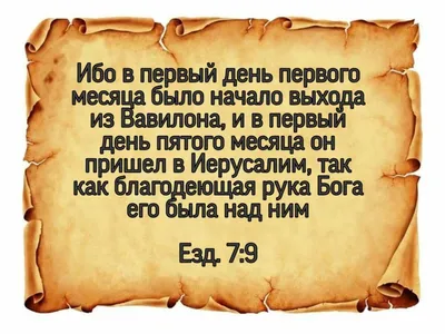 Добро и зло. Библейские истории в иллюстрациях (Майкл Перл) - купить книгу  с доставкой в интернет-магазине «Читай-город».