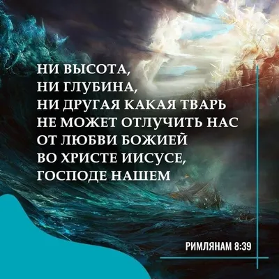 Библия. Книги Священного Писания Ветхого и Нового Завета Эксмо 6947536  купить за 3 603 ₽ в интернет-магазине Wildberries