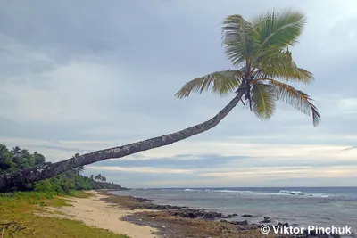 Пляж Джангл Бич (Jungle Beach) в Унаватуне и как до него добраться, время  работы, стоимость