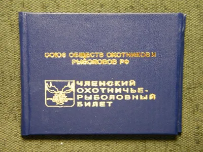 Комсомольский билет. Подробное описание экспоната, аудиогид, интересные  факты. Официальный сайт Artefact