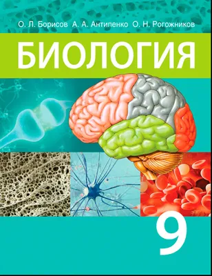 Биология бойынша Стенд, Стенд для кабинета Биологии в векторе [CDR] –  ALLART.KZ