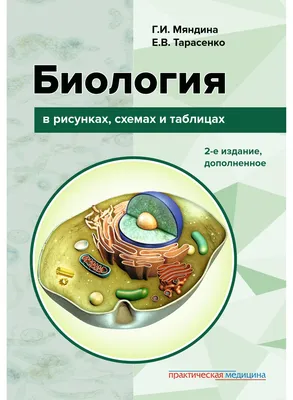 Справочник. Биология Эксмо 4295996 купить за 323 ₽ в интернет-магазине  Wildberries