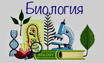 Биология. 8 класс. Учебник - купить с доставкой по выгодным ценам в  интернет-магазине OZON (835367587)