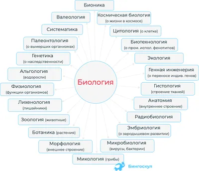 Биология. 11 класс – скачать бесплатно | Аверсэв