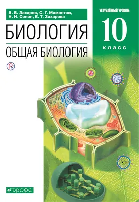 Биология. 10 класс. Сборник контрольных и самостоятельных работ. Базовый и  повышенный уровни, Н. И. Городович – скачать pdf на ЛитРес