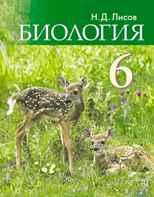 Биология Campbell. Т.1 - Рис Д.Б., Урри Л.А., Кейн М.Л, Купить c быстрой  доставкой или самовывозом, ISBN 978-5-907203-88-4 - КомБук (Combook.RU)