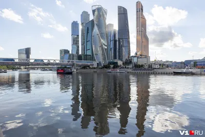 Бизнес портрет в Москве: профессиональная деловая фотосессия в студии или  на выезде.