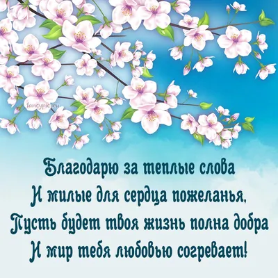 Люди, я не знаю кто вы и откуда🐱 но благодарю вас от всего сердца, от всей  души😊🙏🏻🥰💖 Честно, я в шоке, столько помощи приюту, спасибо… | Instagram