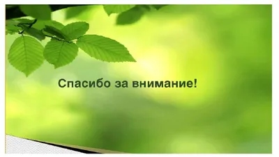 Спасибо за внимание\": как НКО сделать нескучную презентацию - Агентство  социальной информации