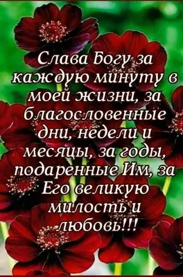 Благодарность Богу в хорошем и плохом очень важна. Почему? Ответ в статье.  | Христиане - последователи Христа | Дзен