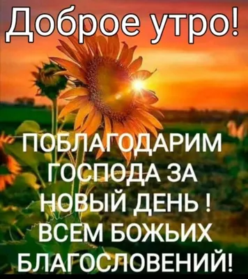 Акафист Слава Богу за всё: полный текст с ударениями