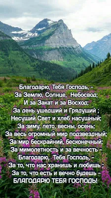 5 поводов для благодарности