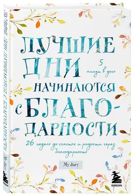 Благодарность директору (Ш-6526) - купить в Москве недорого: грамоты  учителям в интернет-магазине С-5.ru