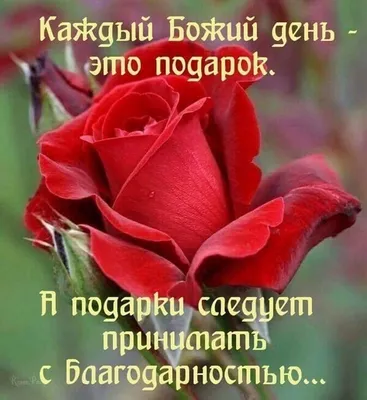 Пожелания хорошего дня в картинках, своими словами, в стихах, в смс и  христианские пожелания доброго дня — Украина