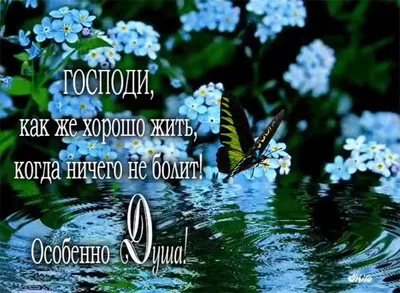 Пожелания хорошего дня в картинках женщине | Открытки, Картинки,  Праздничные открытки