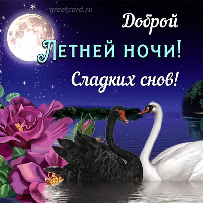 Спокойной ночи! Я люблю тебя! Сказки для малышей (твёрдый переплёт) |  Грэхем Оккли - купить с доставкой по выгодным ценам в интернет-магазине  OZON (221615581)