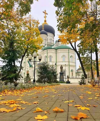 Благовещенский собор в осенней листве. Фотограф Тимур Подколзин