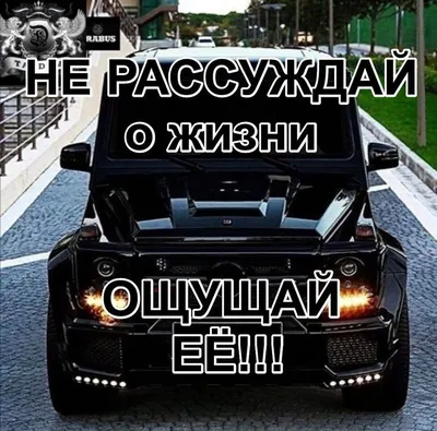 Блатные Номера: последние новости на сегодня, самые свежие сведения | 72.ру  - новости Тюмени