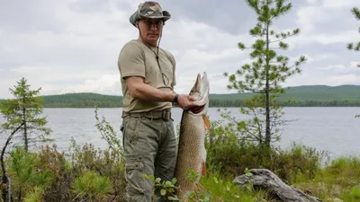 Блесна вращающаяся Mepps Aglia Long 1: купить в Иркутске по лучшей цене в  интернет-магазине Фанат – фото, информация, отзывы