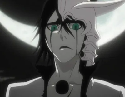 Ulquiorra Cifer | Fight of Characters Wiki | Fandom